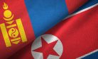 Will North Korea’s Foreign Minister Visit Mongolia This Year?